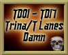 Damn - Trina/Tory Lanes