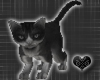 *-*Cute Black Cat Pet