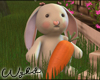 Meadow Carrot Bunny