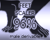 Feet Scaler 96%