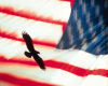 american flag w/eagle