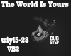 The World Is Yours[vb2]