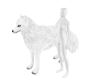 DRV White Snow Wolf Pet