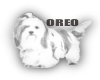 Oreo Dog Transparent HP