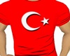 SEV Türk bayragi tisort