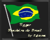 Bandeira Brasil e pose