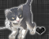 *-*Cute Gray Cat Pet