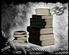 [SS] Stack of Books V.2