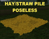 HAY/STRAW PILE POSELESS