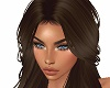 Long Brown Hair #148