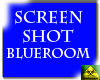 ScreenShot Blue Room