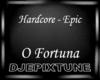 HC Fortuna