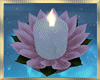 Floating ~  Candles