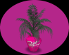 Dirty Dancing Plant Vase