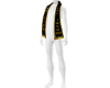 Sash Mister Peru v.2