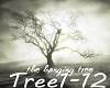 The Hangin Tree