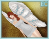 EC| Angel Wings