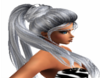 Kiara Black/Silver Hair