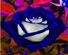 Lucy Blue Rose Couch