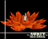 ~atrix~Orange lotus