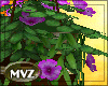 [MVZ] Hanging Flowers