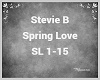 Stevie B - Spring Love