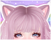 🌙 Lynx Ears Kitten