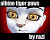 Albino Tiger Paws
