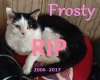 RIP Frosty