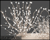 Plante  w Light