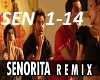 Senorita - Remix 