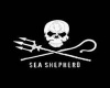 Sea Shepherd Goggles