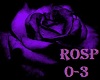 Purple/Black light rose 