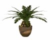 POTTED  PLANT