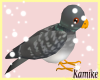 [K] Pigeon