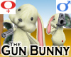 Gun Bunny