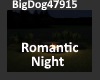 [BD]RomanticNight