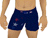 fourth of july shorts