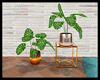 [MH]Plants P&H