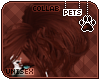 [Pets]Makybe |hairadd v1