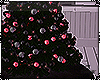 | Dark Christmas Tree