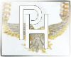 14k  Iced Bald Eagle