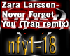 L- Never Forget You