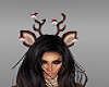 SR~ Reindeer Antlers