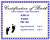 Kam Birth Certificate