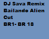 Bailando remix