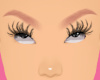 Lash 5 Top Only