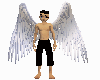 Brownish Archangel wings