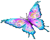 beauty in a butterfly