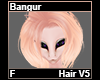 Bangur Hair F V5